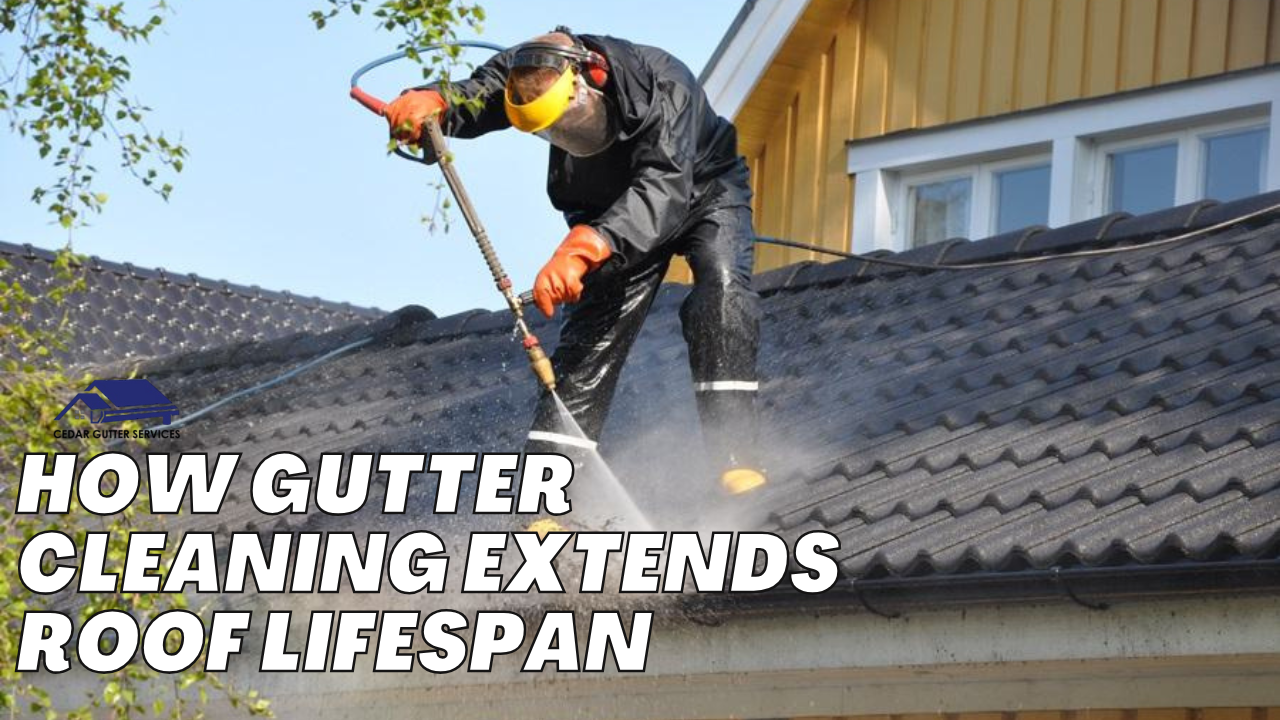 How Gutter Cleaning Helps Prevent Pest Infestations